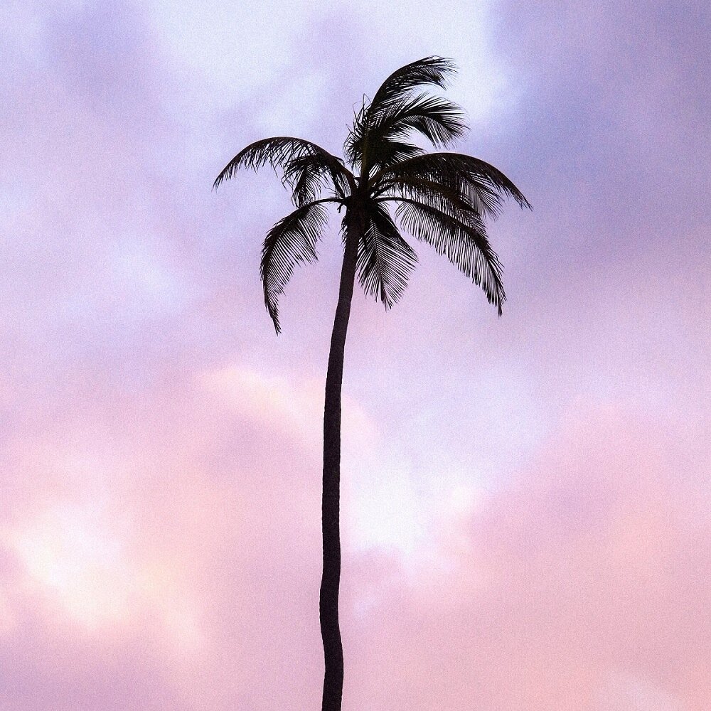 TGIF!⁠
⁠
Take me to paradise, please! ☀️⁠
⁠
.⁠
.⁠
.⁠
.⁠
⁠
#Palmtree #beach #friday #vacationtime #welltravelled #wanderlust  #instatravel #travelgram #explore #travelbug #destinationwedding #instawedding #igwedding #yyctravelagent #luxurytraveladviso